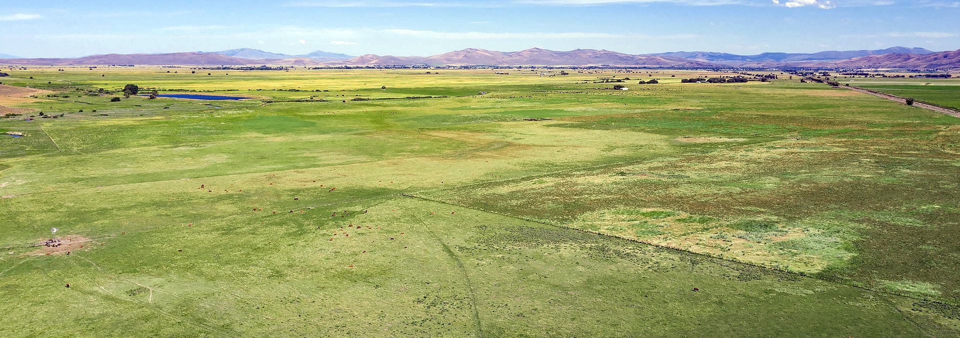 Oregon Cattle Ranch for Sale Chandler Hereford Ranch North Unit