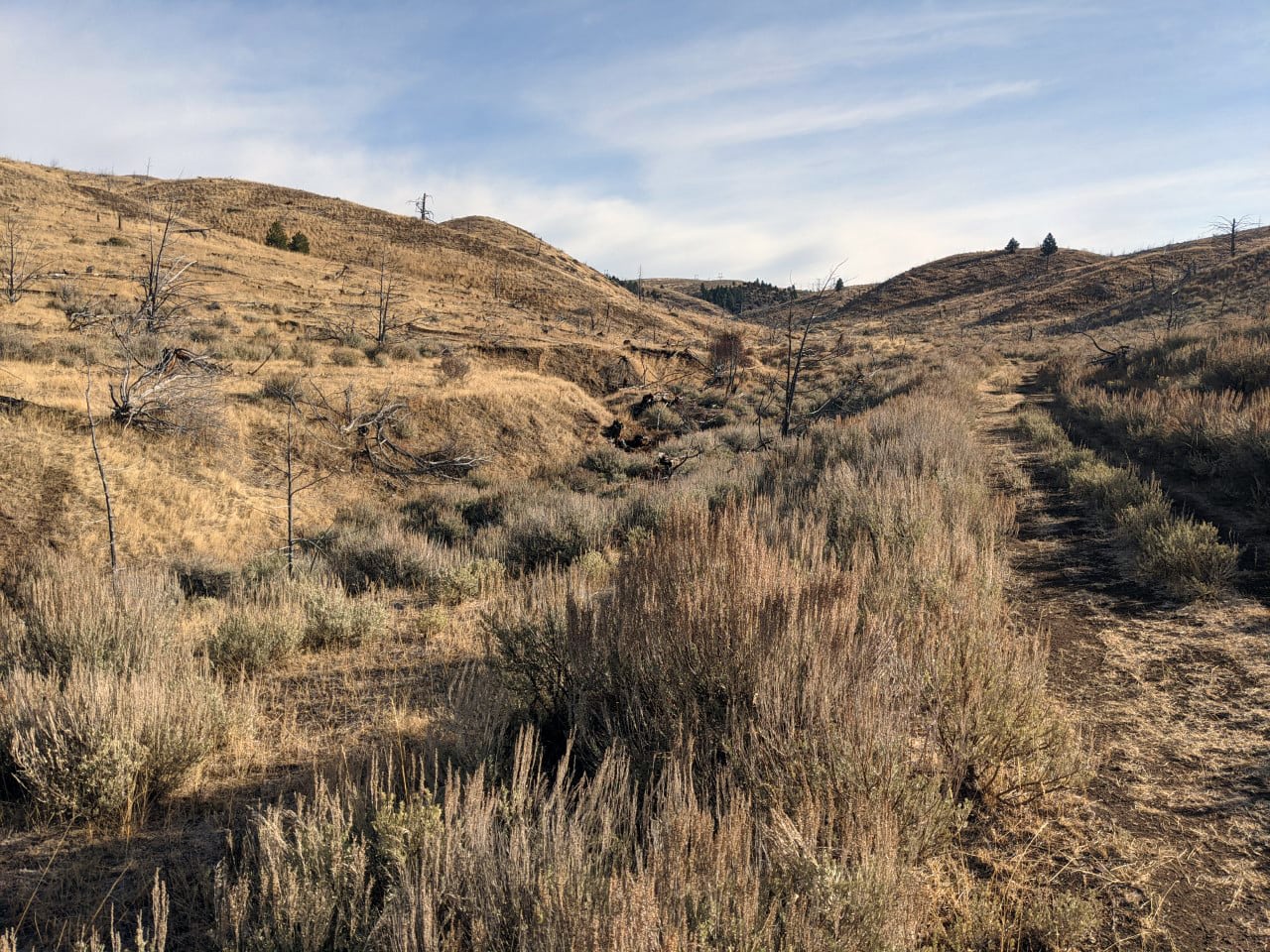 trail montana dry creek hunting retreat ranch