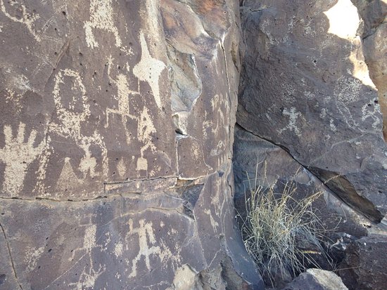 cool petroglyph new mexico hipico
