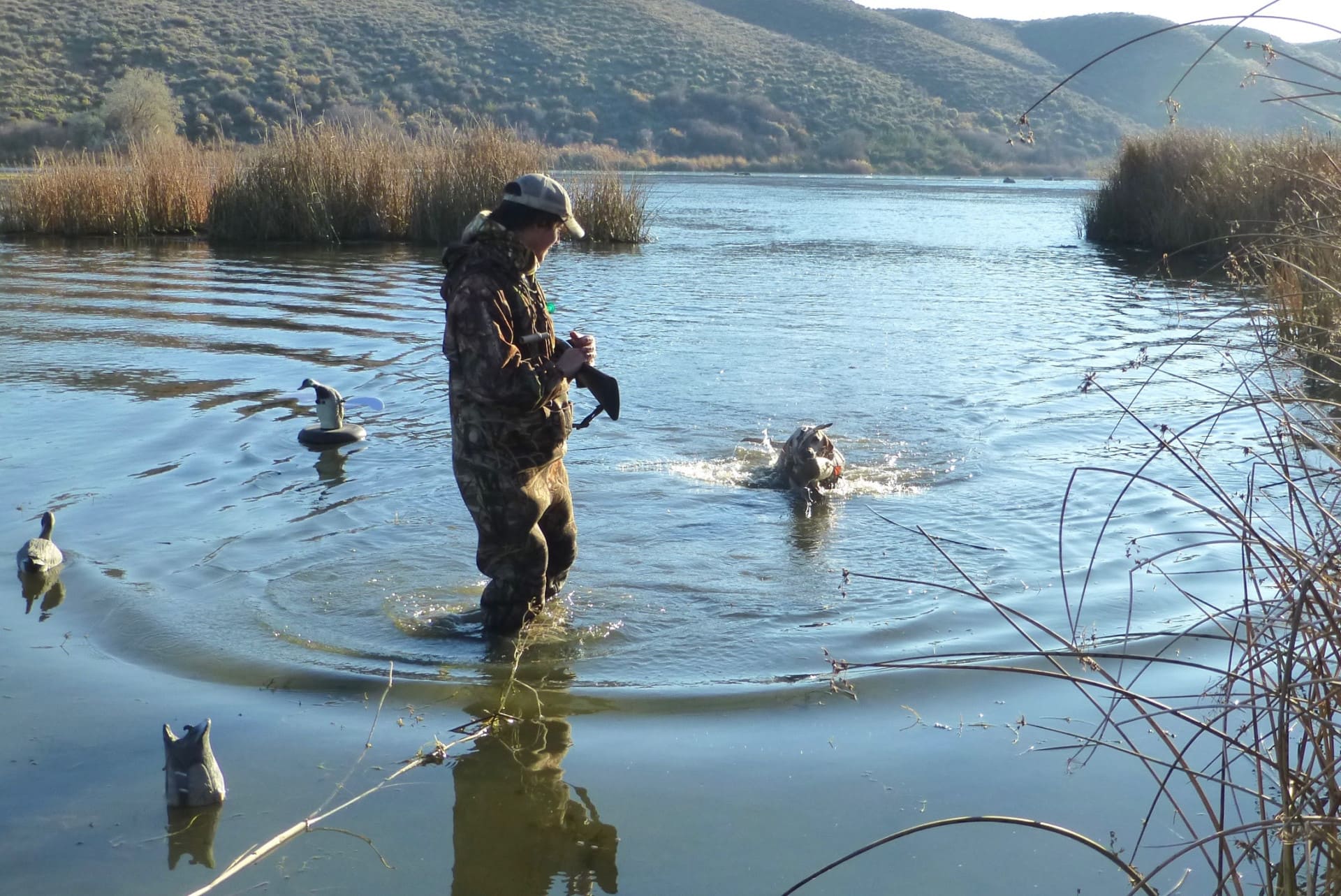 duck hunting dog helpers washington mcloughlin falls retreat