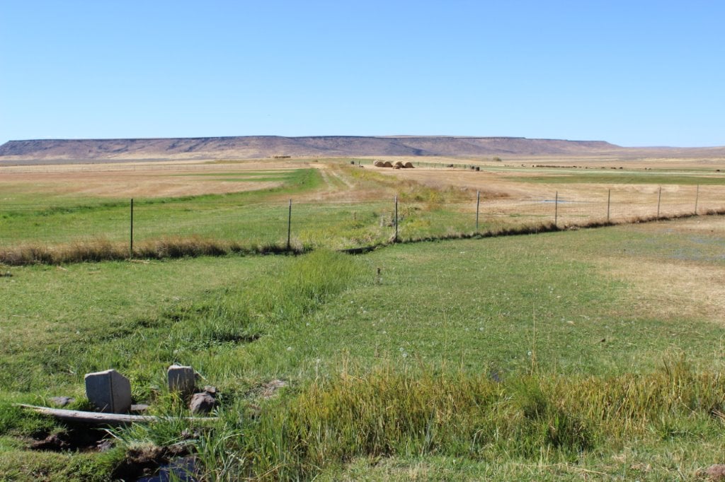 hay field oregon brackett ranch
