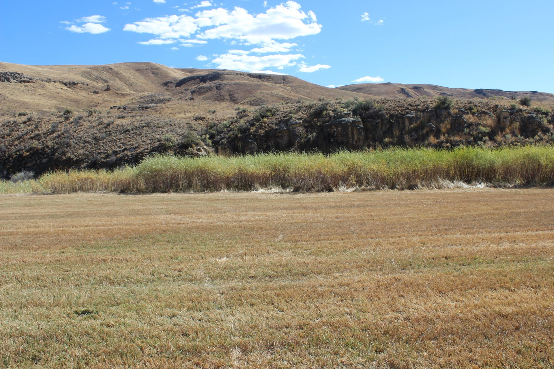 hay meadow prairie oregon brackett ranch