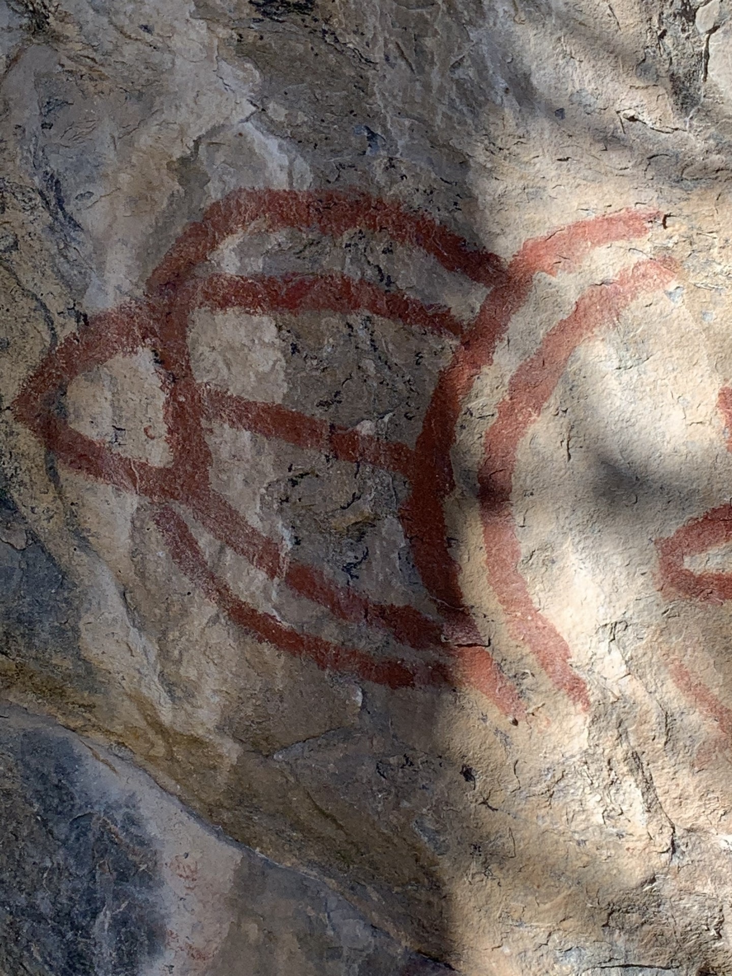 Indian Petroglyphs Close Up Washington McLoughlin Falls Retreat