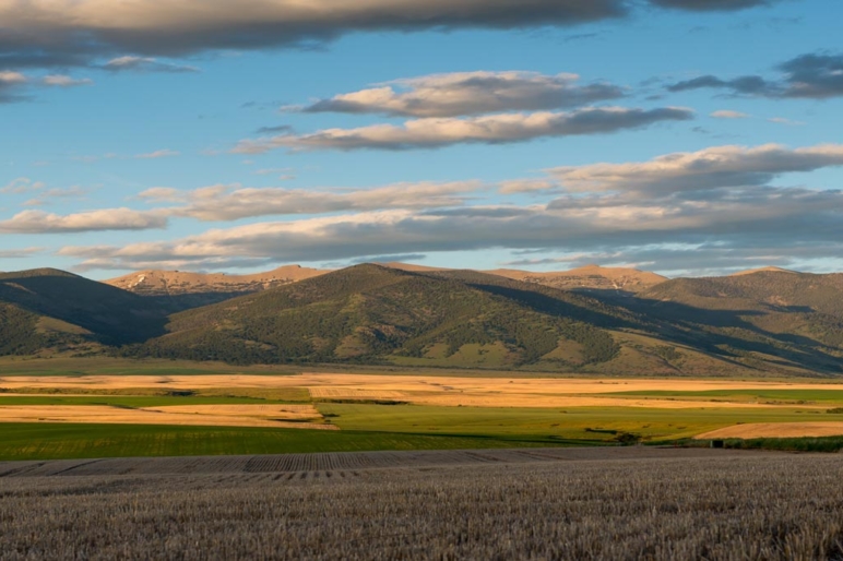 Montana Farm Land For Sale Large Acreages Fay Ranches