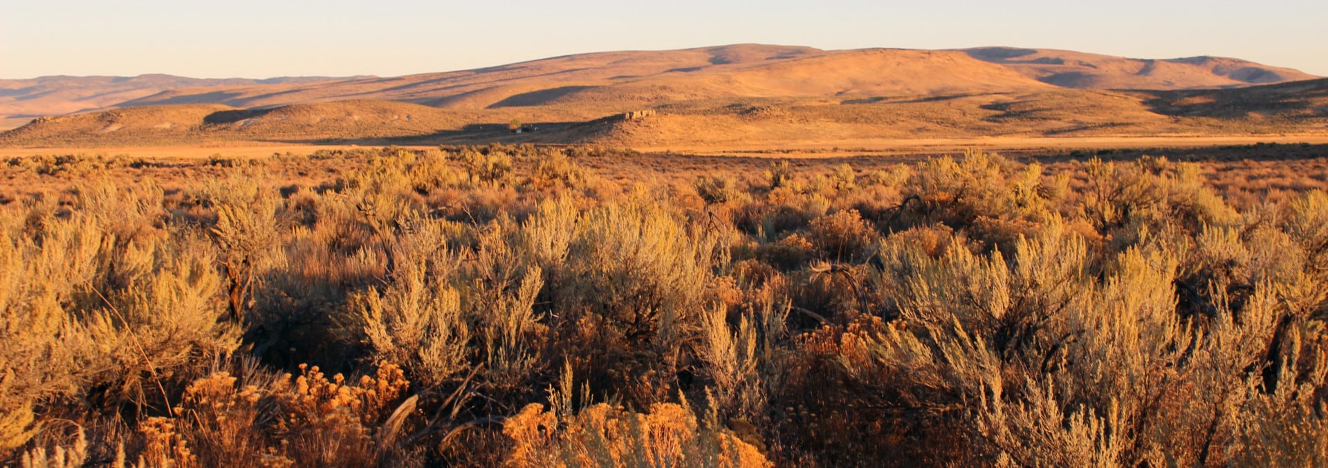 oregon cattle ranch for sale brackett ranch