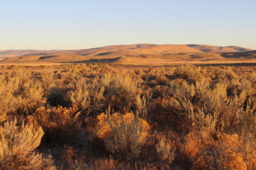 farms property for sale oregon brackett ranch