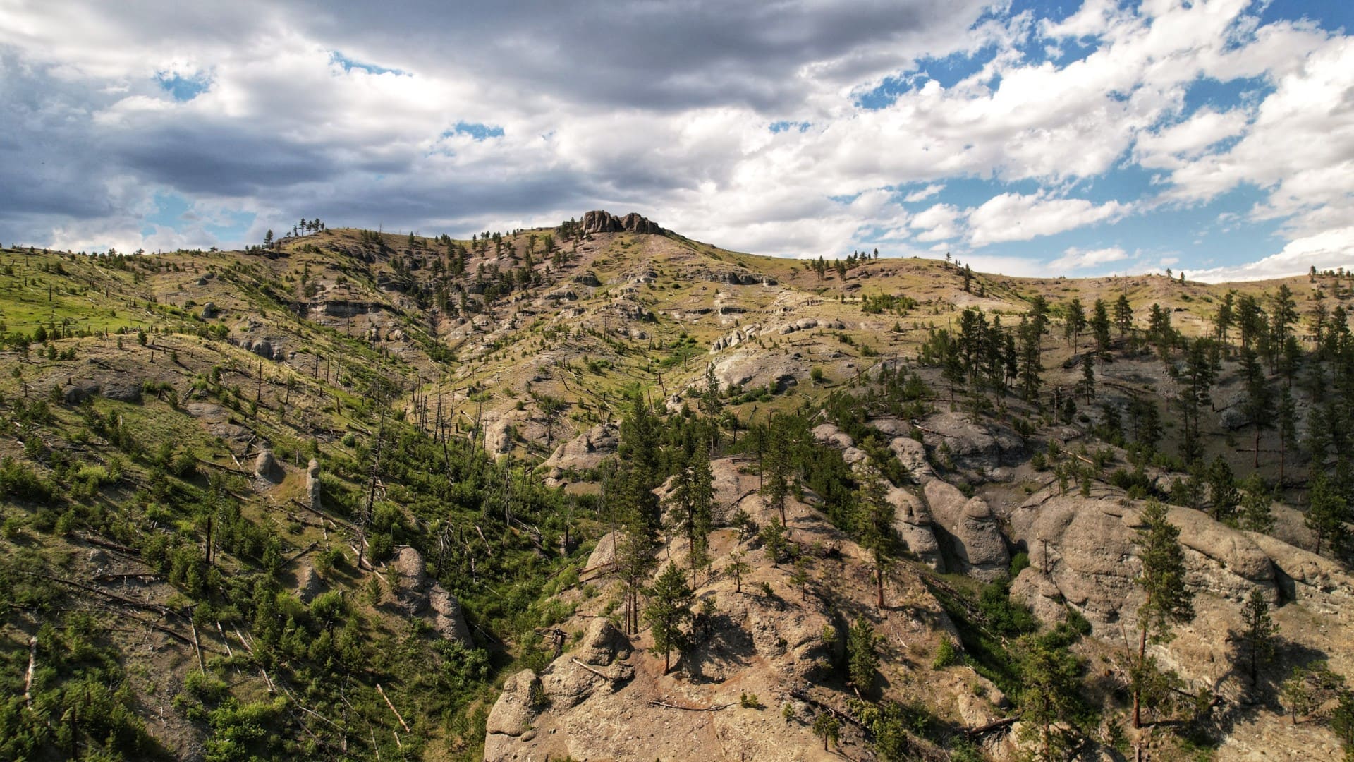 Big-Timber-Land-For-Sale-Montana-Four-Creeks-Sporting-Ranch.jpg