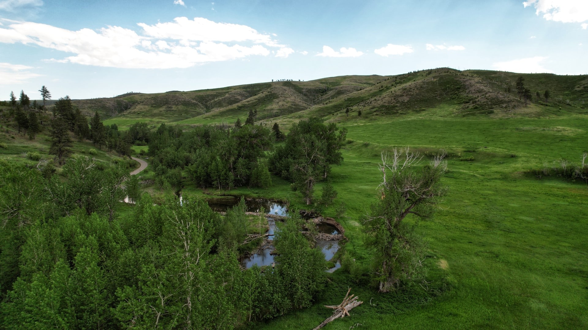 Bridger-Creek-Riparian-Area-Montana-Four-Creeks-Sporting-Ranch.