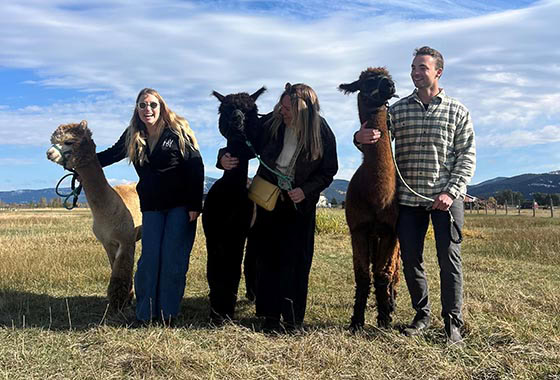 Charlie McFarlane and the team with Llamas 2025