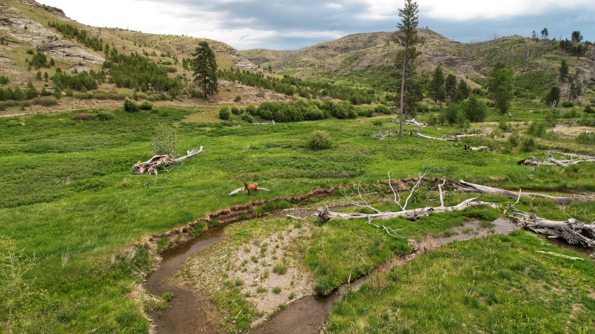 Elk-Hunting-Property-Montana-Four-Creeks-Sporting-Ranch