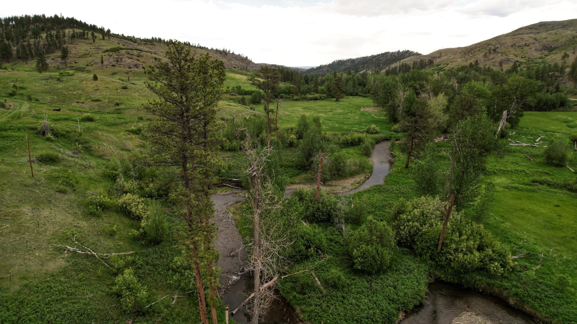 Fishing-On-Site-Montana-Four-Creeks-Sporting-Ranch