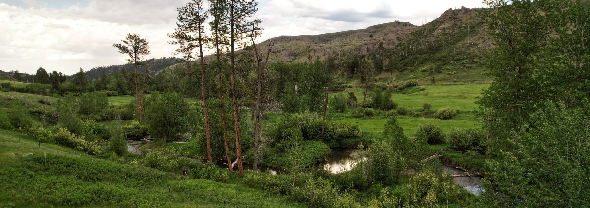 Recreational Hunting Property For Sale Montana