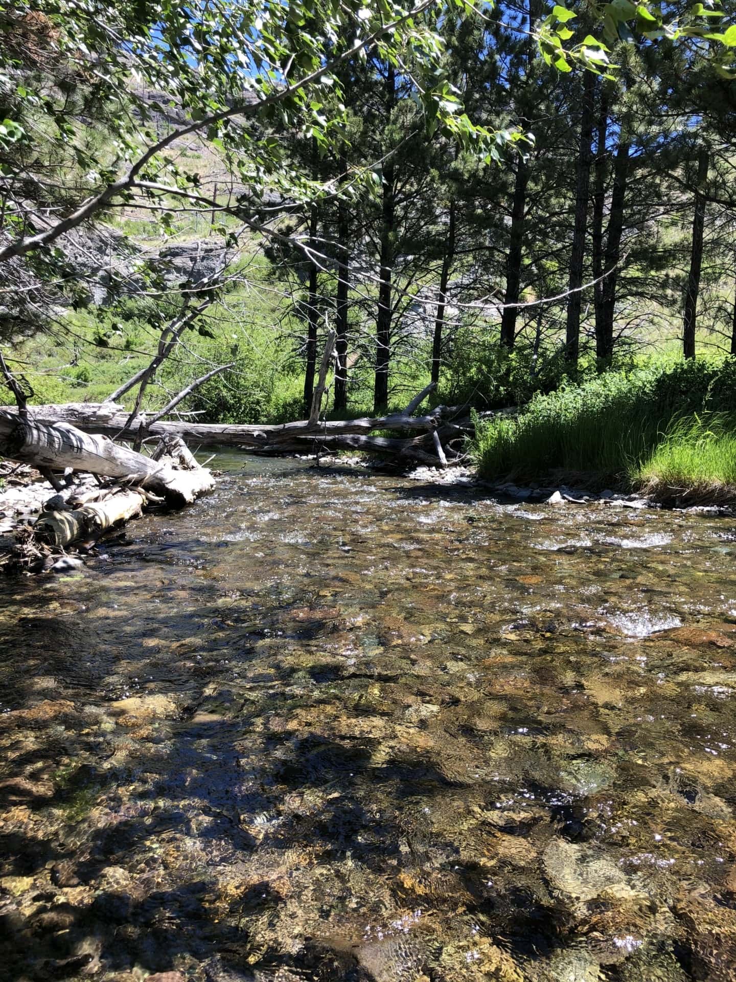 Abundant Water Four Creeks Sporting Ranch Big Timber Montana