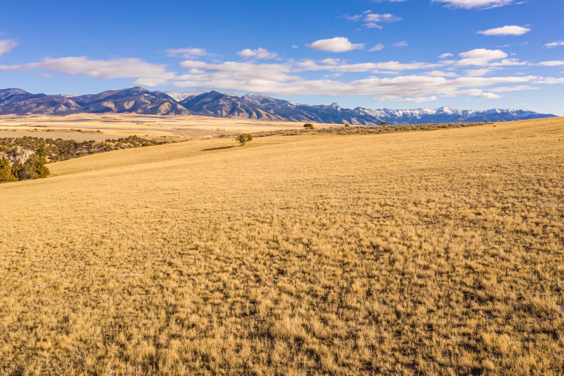 agriculture montana overlook at the sxs ranch