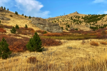 Big Game Hunting Land for Sale Montana Four Creeks Sporting Ranch