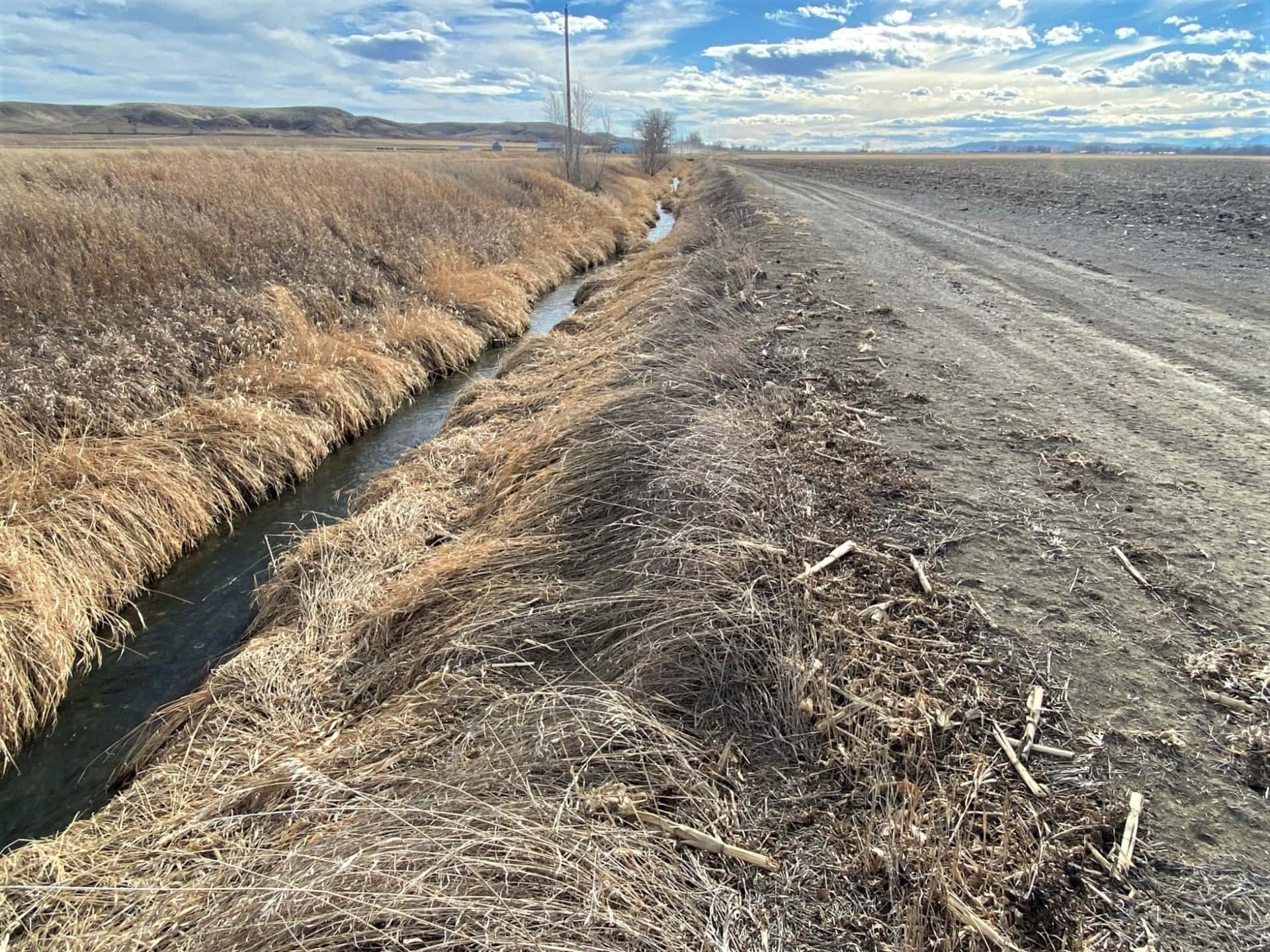 ditch montana spencer irrigated farm and feedlot
