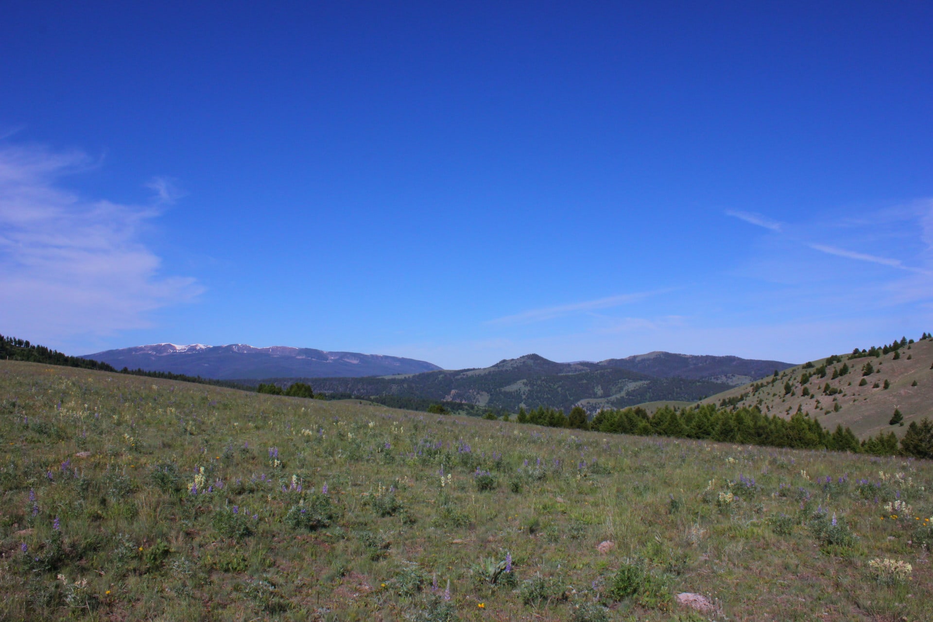 hiking ranch for sale Montana Rock Creek Cattle Ranch