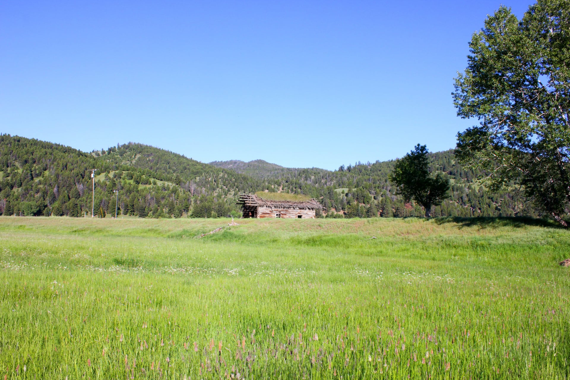 Historic calving barn Montana Rock Creek Cattle Ranch