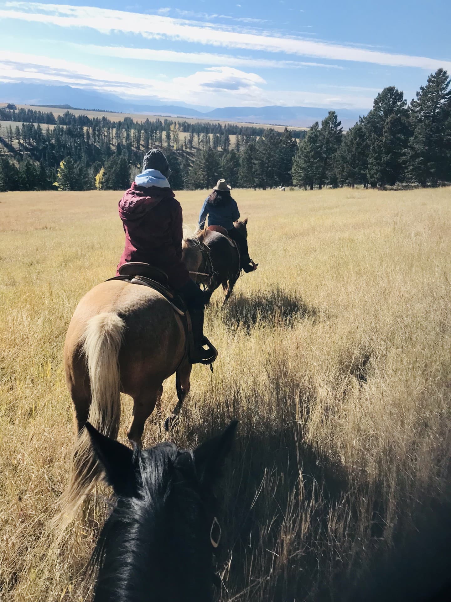 Horse Rides Montana Pishkun Crazy Mountain Ranch