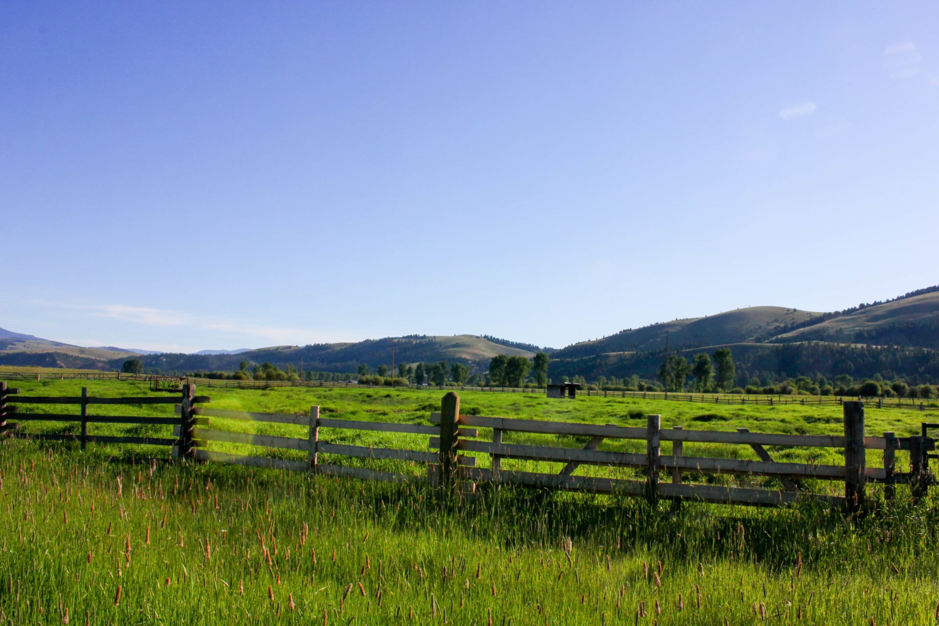 Land only for sale Montana Rock Creek Cattle Ranch