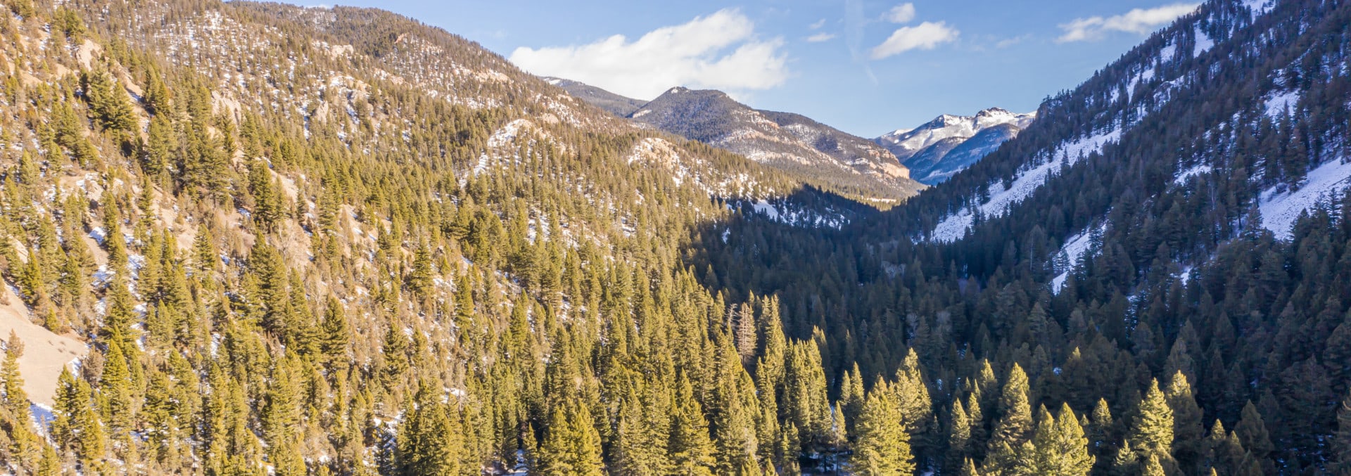 montana home for sale mill creek fish camp