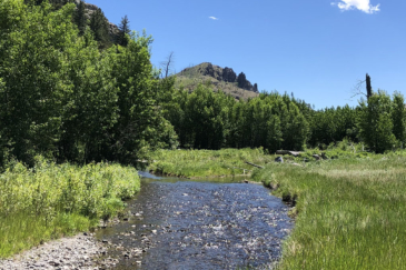 Montana Hunting Ranch for Sale Four Creeks Sporting Ranch