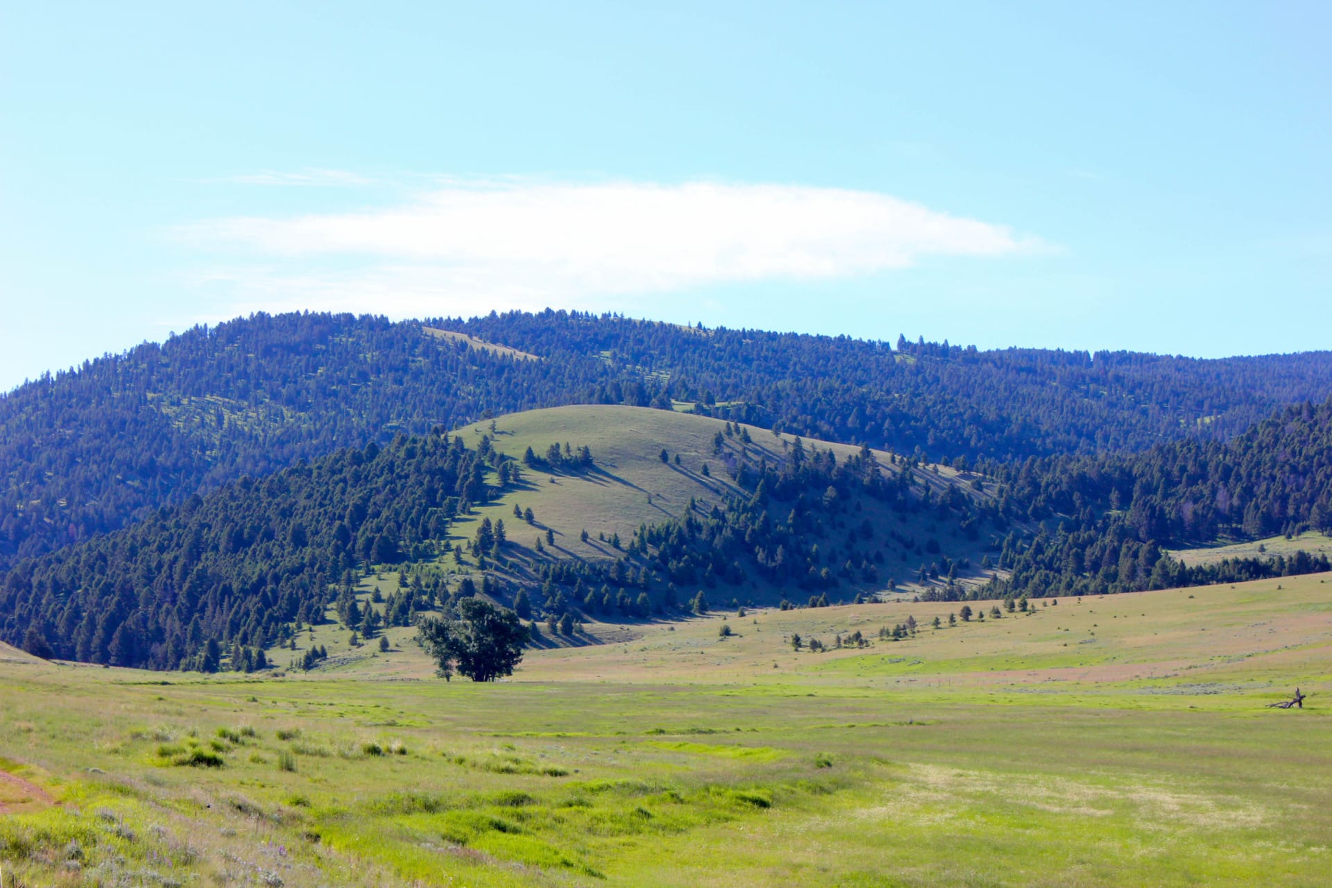 Rock Creek Vally View Montana Rock Creek Cattle Ranch