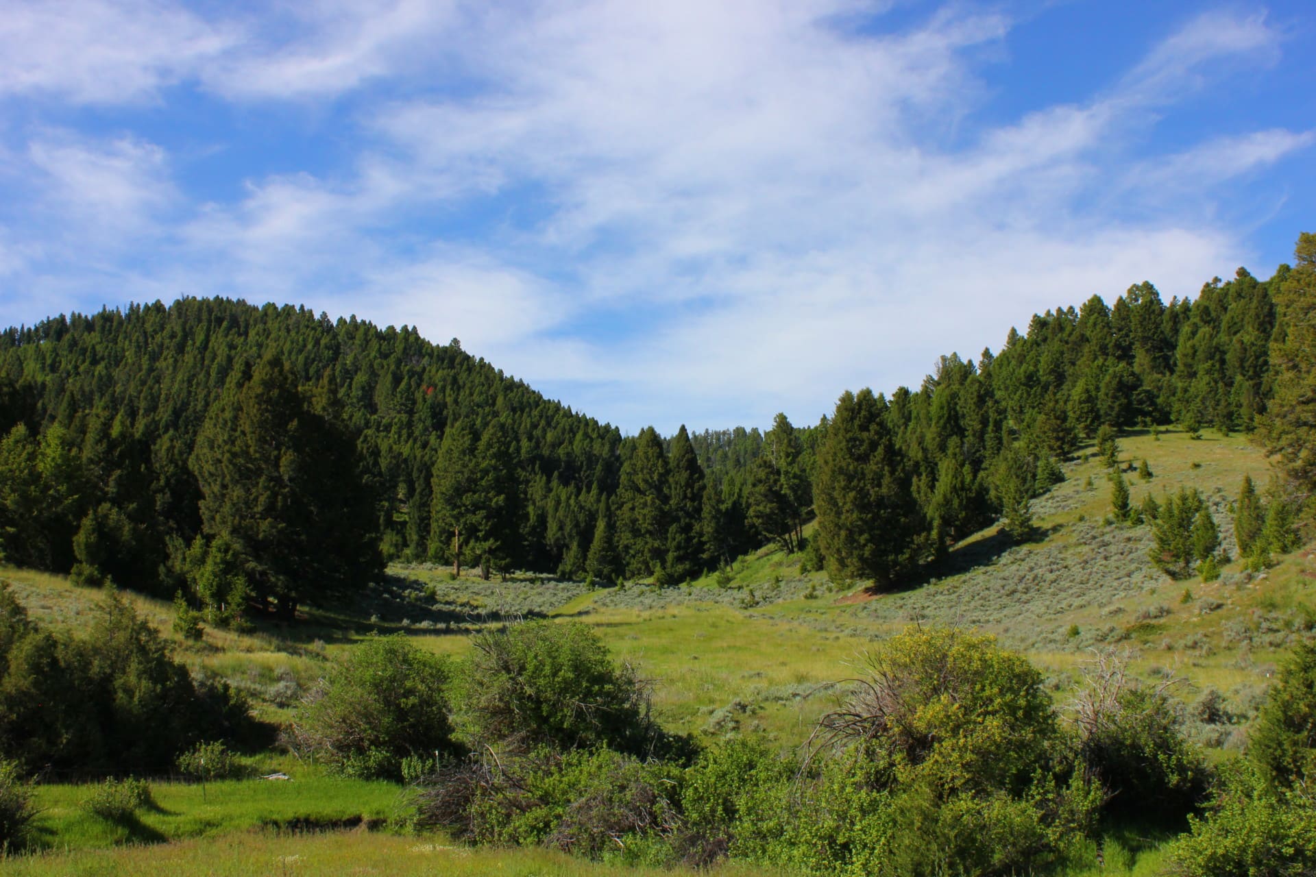 timber land for sale Montana Rock Creek Cattle Ranch