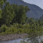 Colorado River Property for Sale Dolores River Ranch