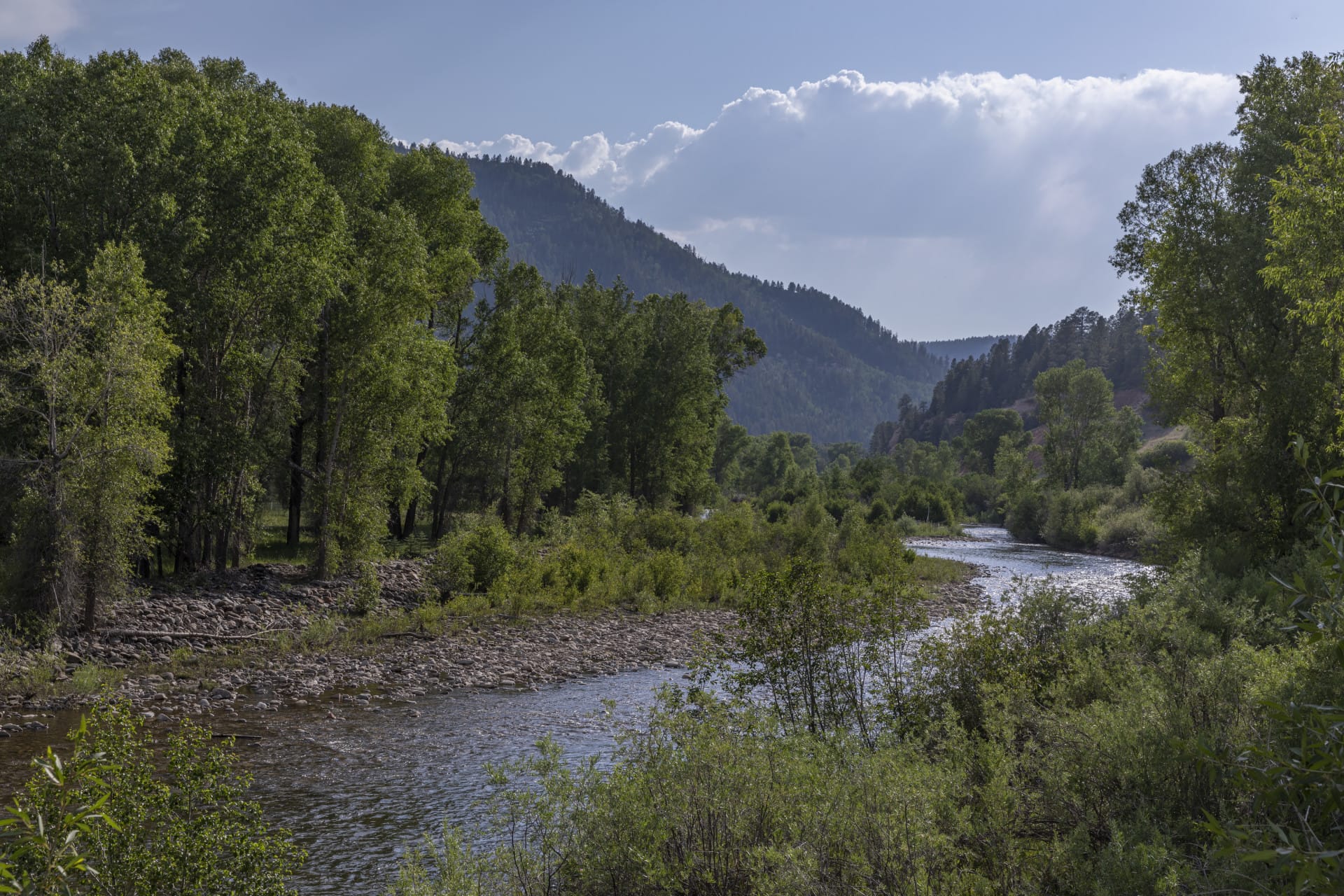 Dolores River Ranch Colorado Downriver