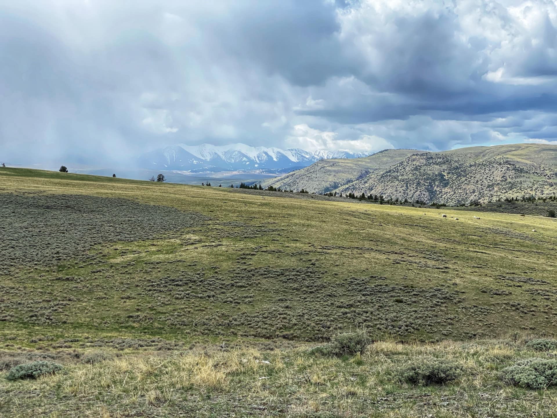 Hunting Ranch for Sale Montana Boulder River Vista