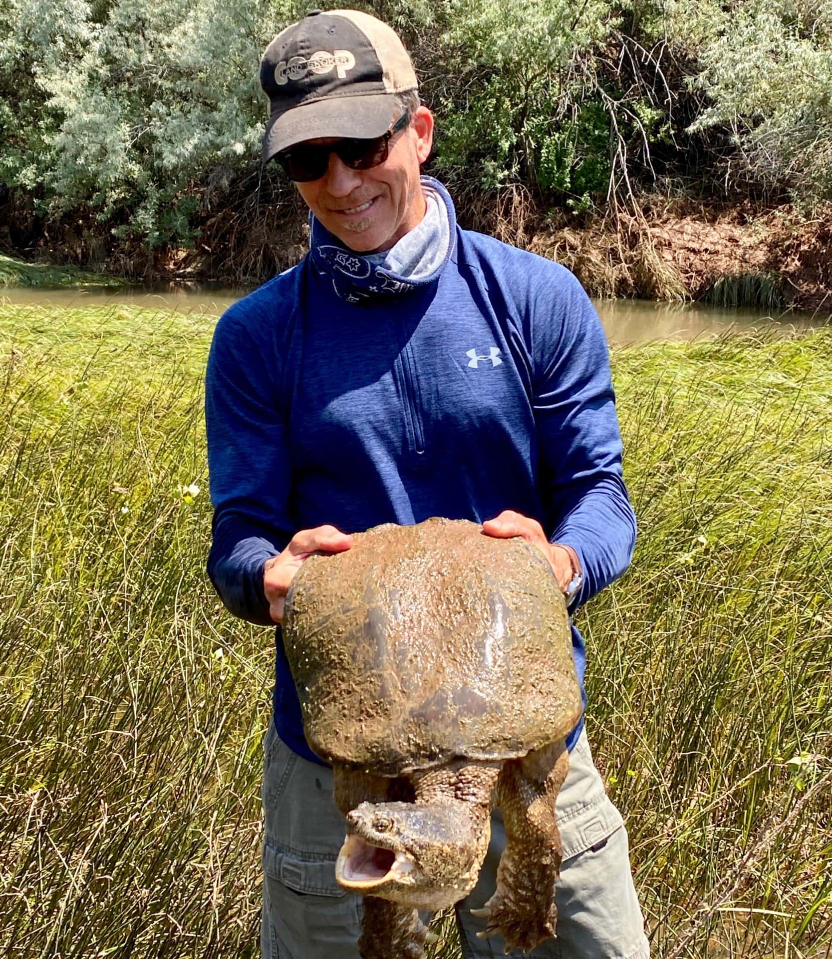 big snapping turtle new mexico cottonwood springs north