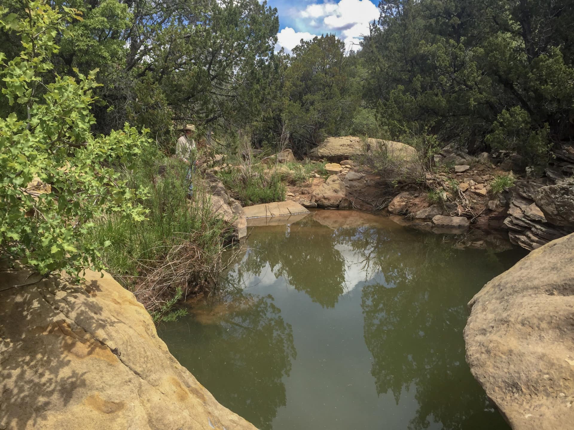 blue swimming hole new mexico cottonwood springs north