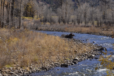 Colorado ranch for sale Dolores River Ranch