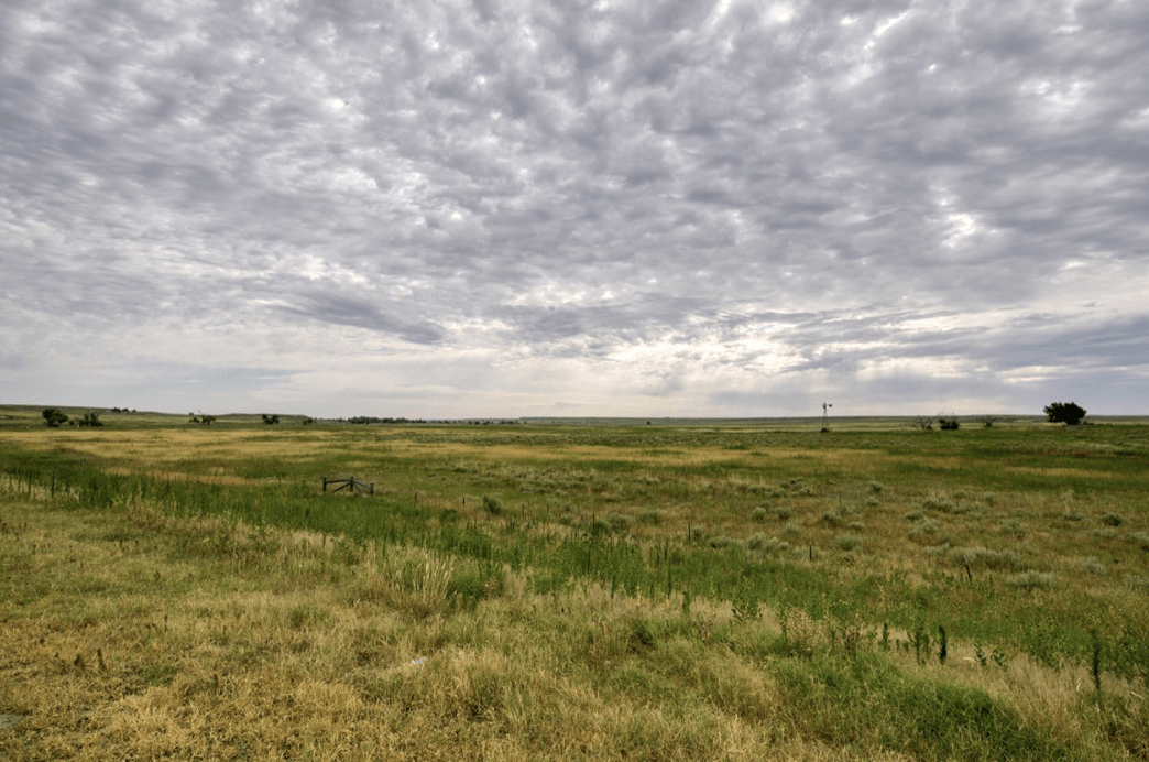 grass Oklahoma Double S Ranch | Fay Ranches