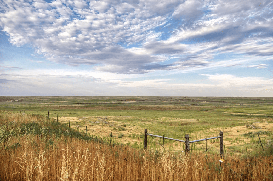 grass fenceline Oklahoma Double S Ranch | Fay Ranches