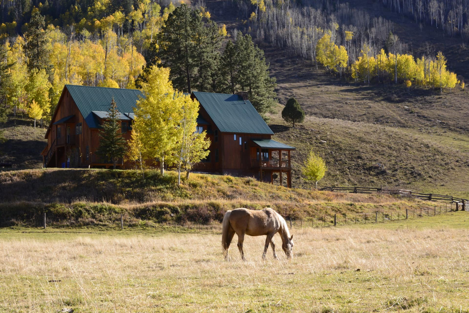 horse grazing pasture colorado Dolores River Ranch