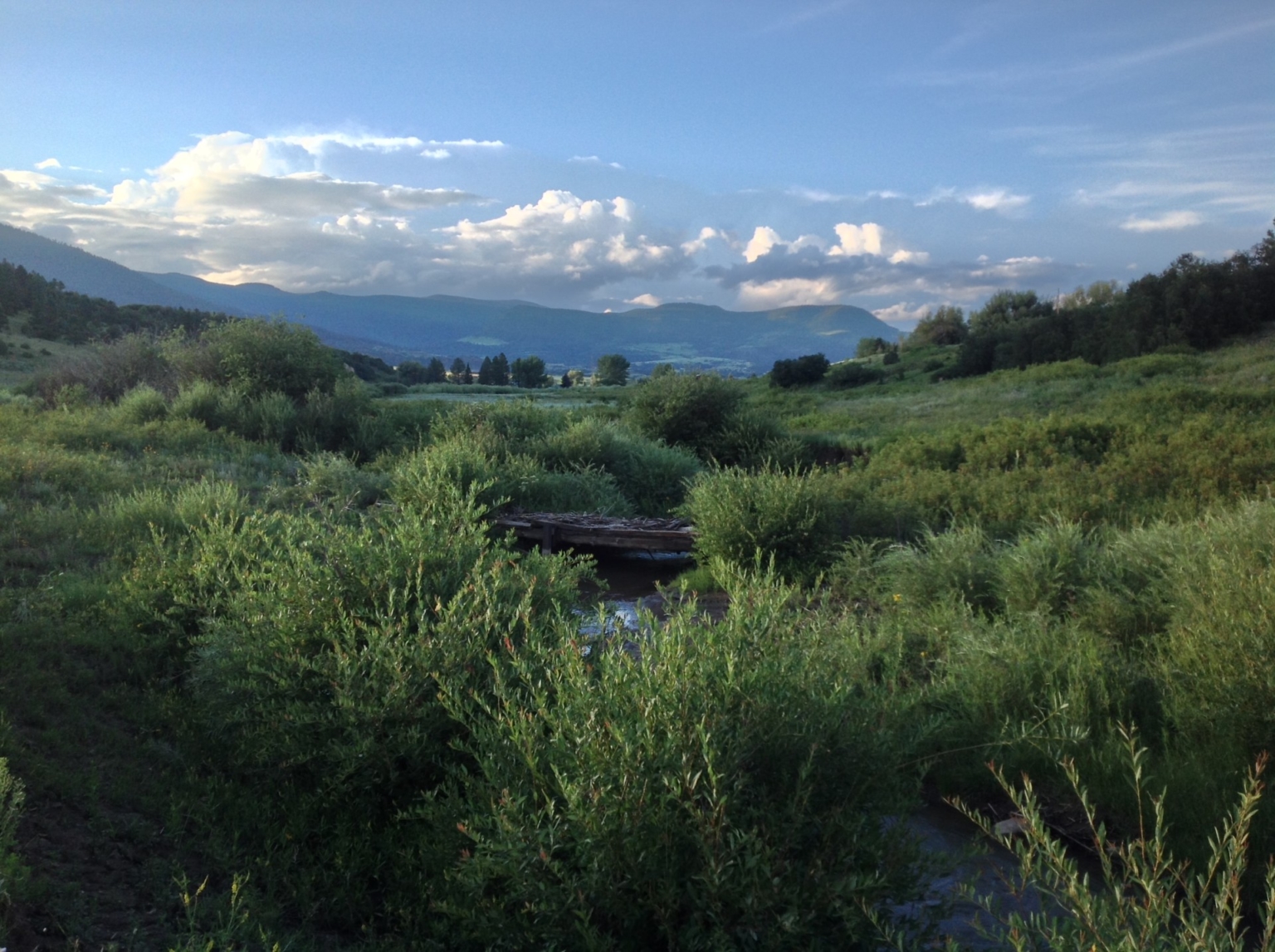 Mora River Refuge Chacon New Mexico Fay Ranches