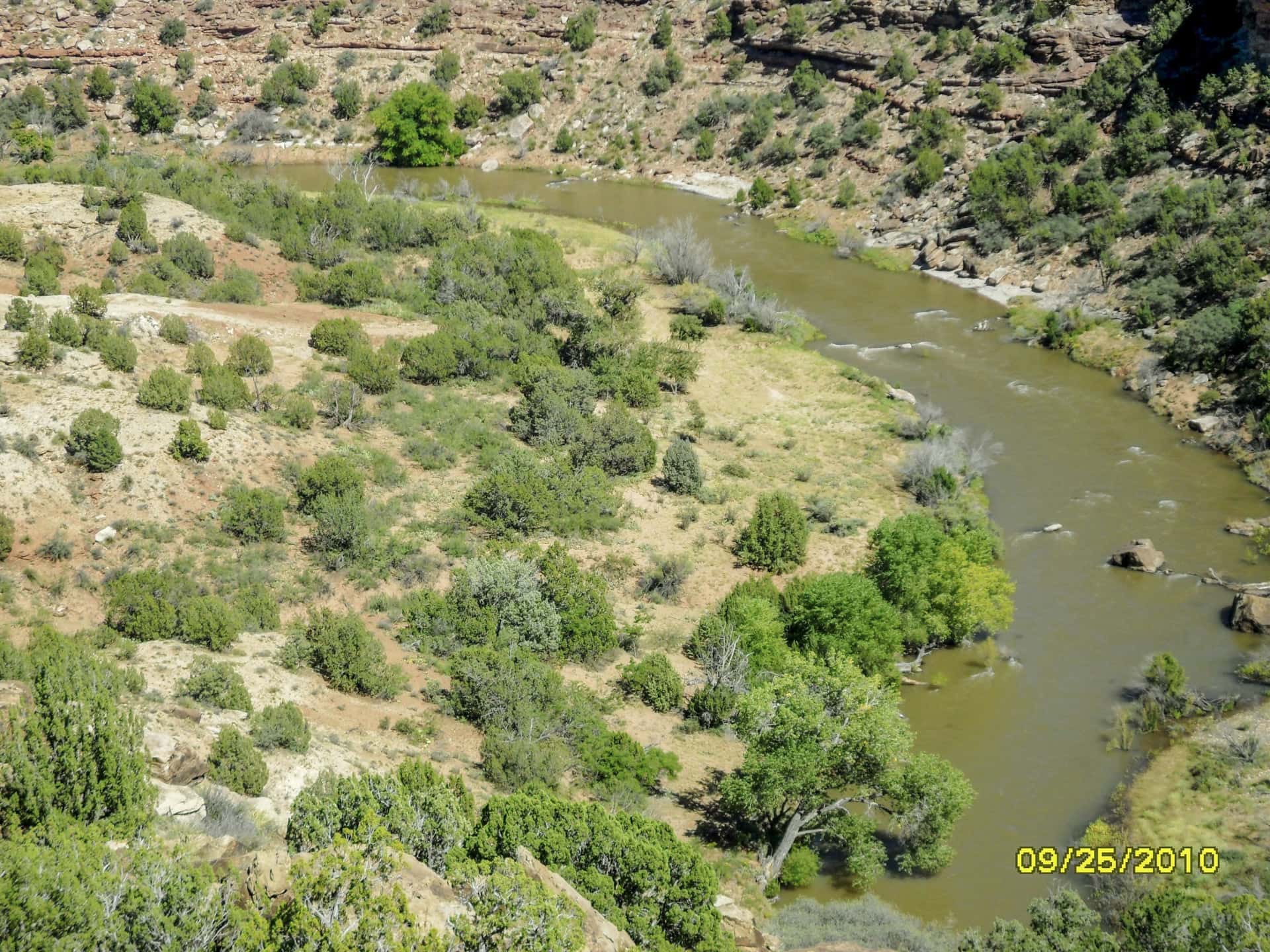 river bend new mexico cottonwood springs north