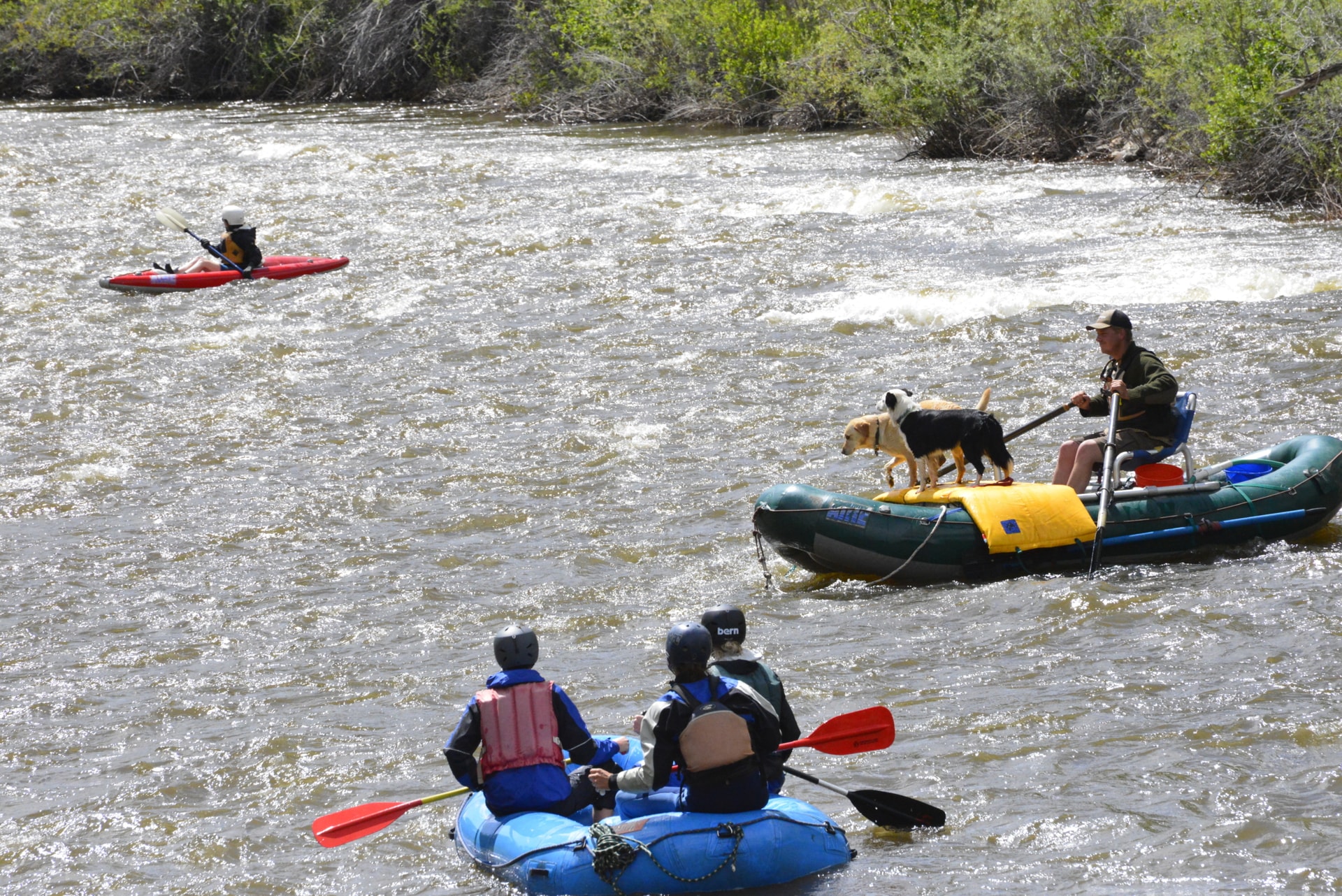 river rafting tubing Colorado Dolores River Ranch