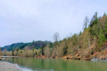 Washington riverfront property for sale stillaguamish river ranch