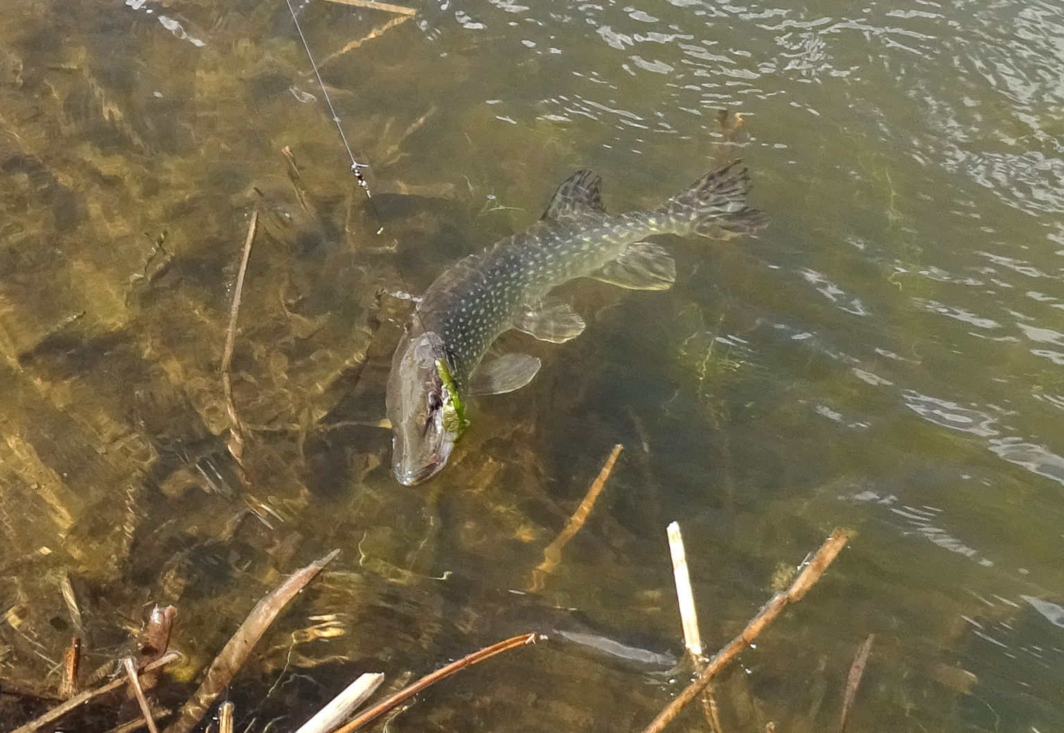 Two Rivers Ranch | Colorado Sporting Property | Fay Ranches