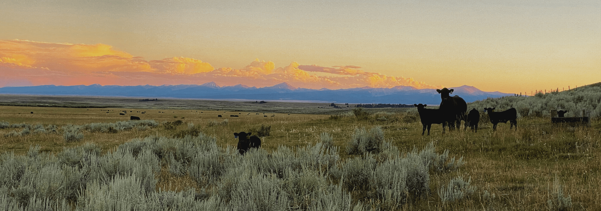 Wisdom Montana Land for Sale (1) Fay Ranches
