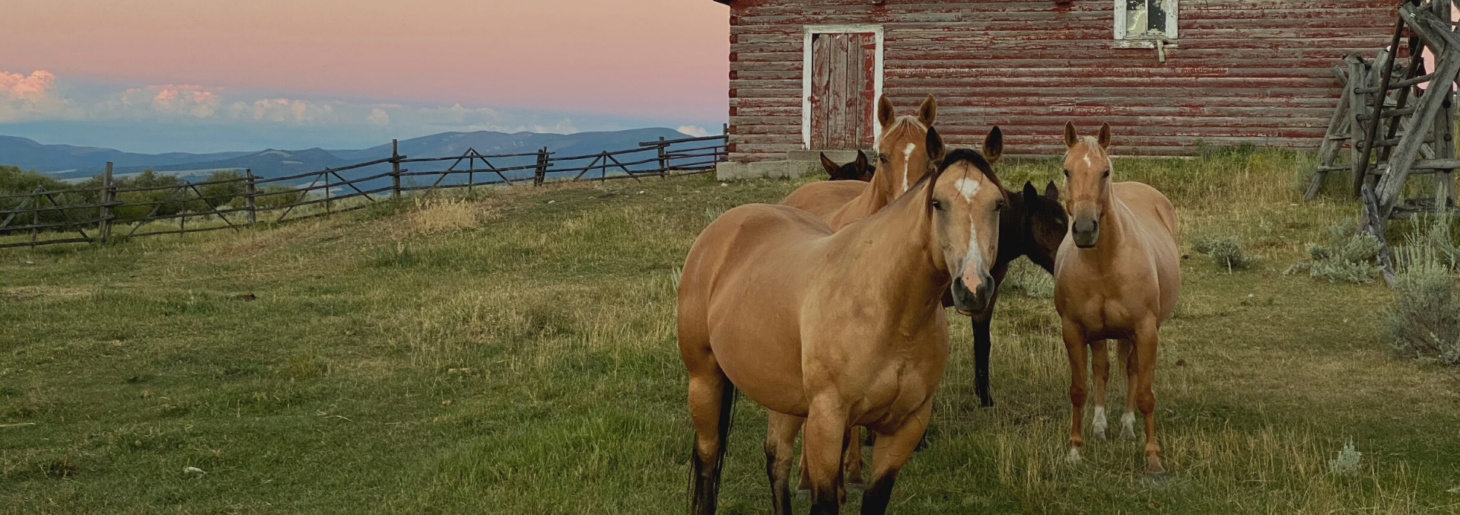 Wisdom Montana Land for Sale Fay Ranches