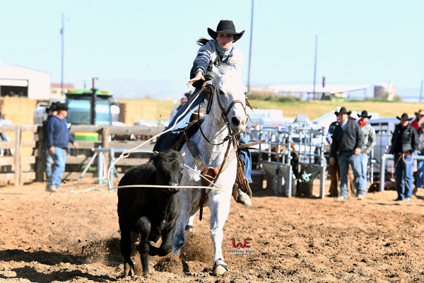 Dixie Barry Fay Ranches Ranch Brokerage with a Rodeo Problem Idaho