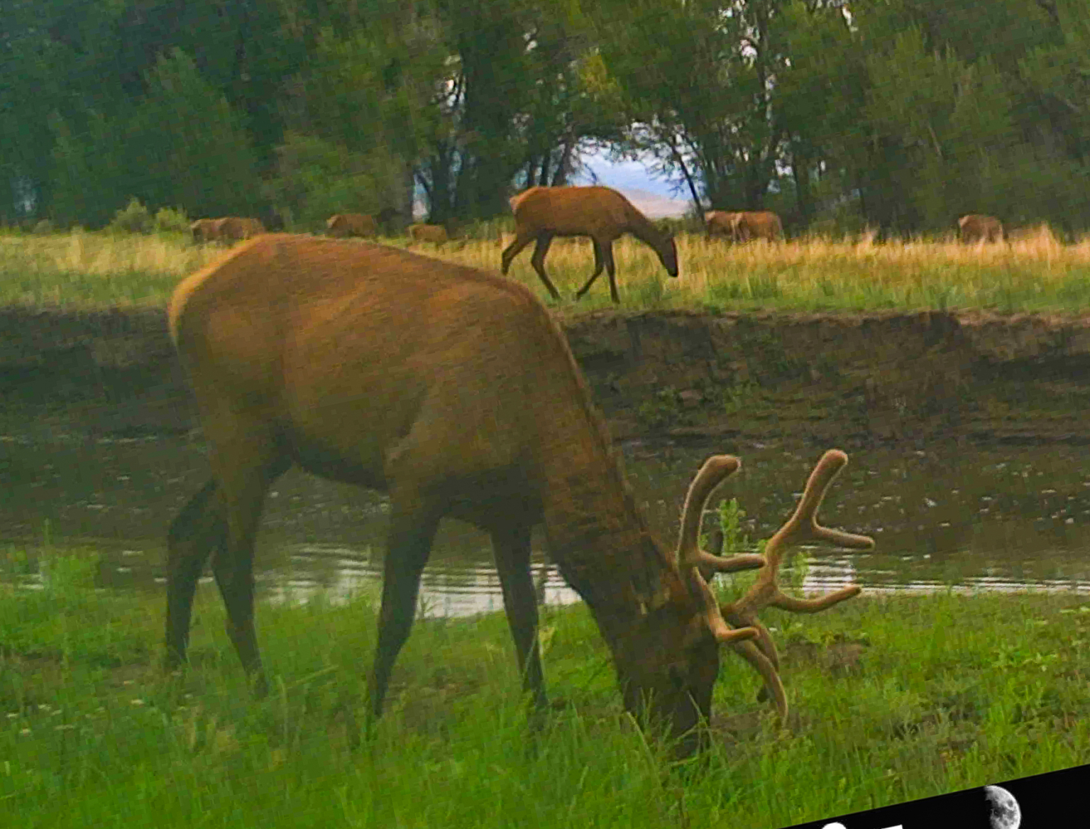 Two Rivers Ranch | Colorado Sporting Property | Fay Ranches