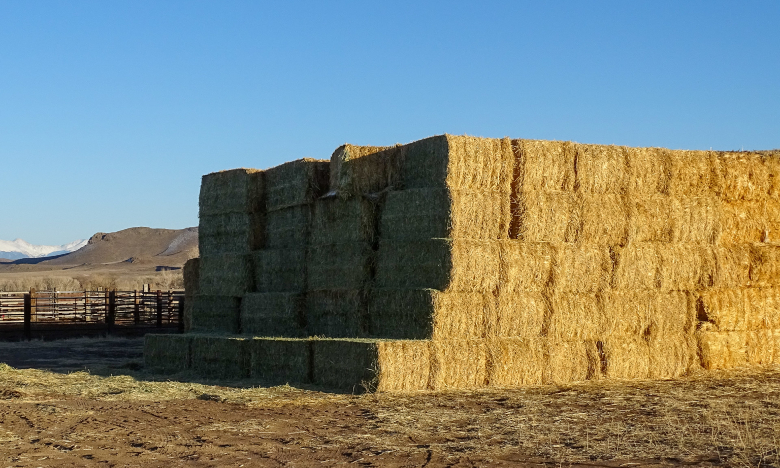Two Rivers Ranch | Colorado Sporting Property | Fay Ranches