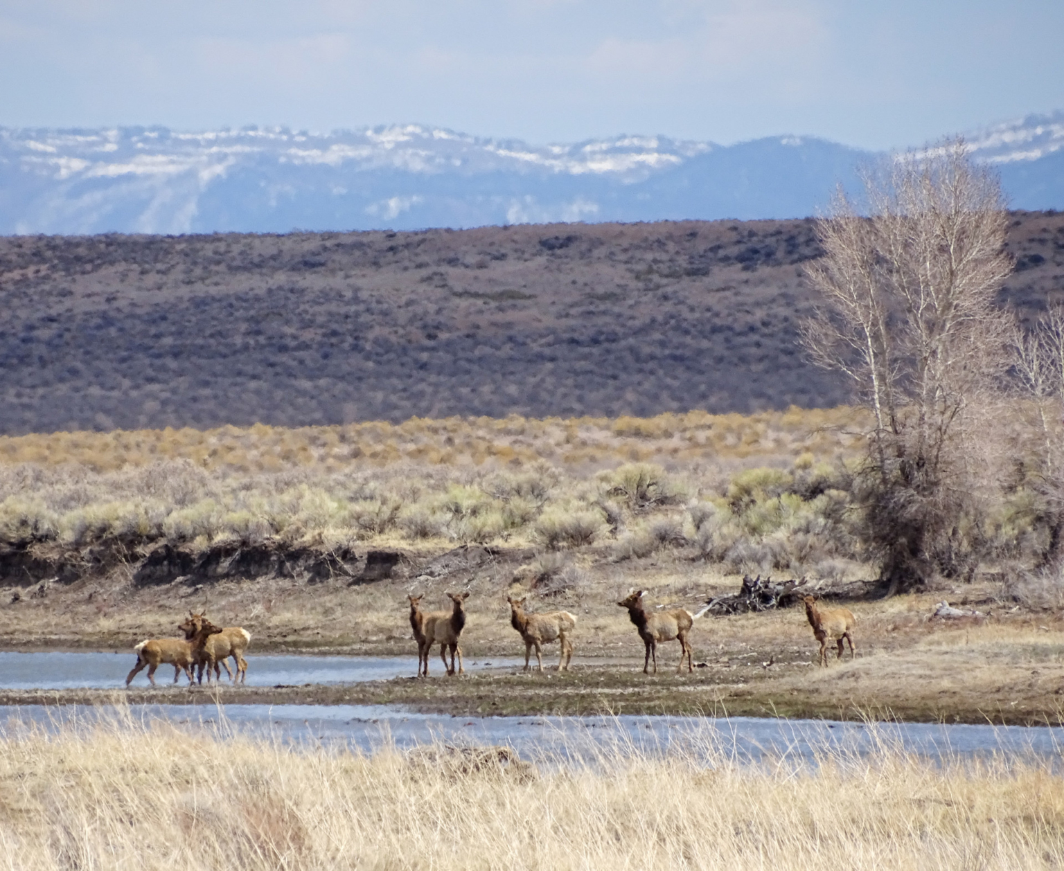 Two Rivers Ranch | Colorado Sporting Property | Fay Ranches
