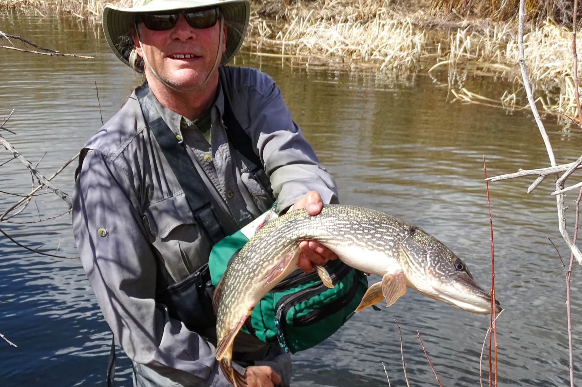 Northern Pike Fly Fishing Rio Grande-Colorado Two Rivers Ranch