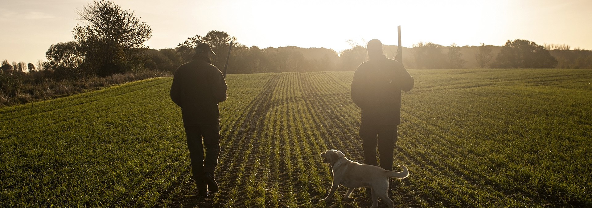 Tennessee Wildlife Resources Foundation